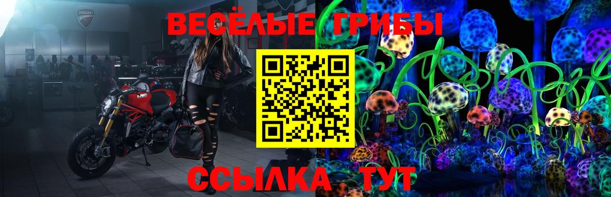 Псилоцибиновые грибы GOLDEN TEACHER Пушкино
